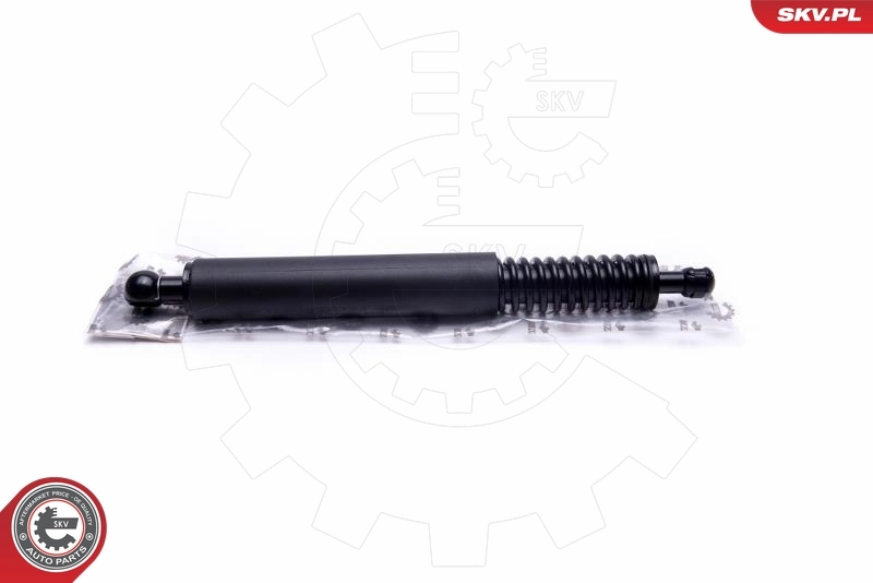 Gas Spring, boot/cargo area